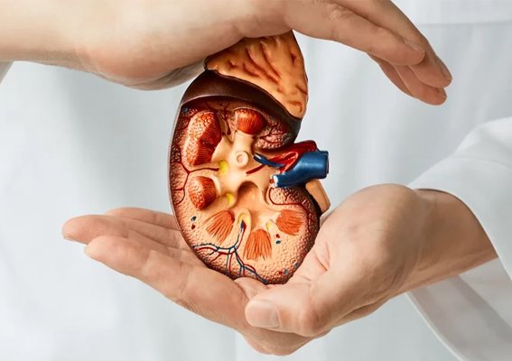 What is Kidney Cancer