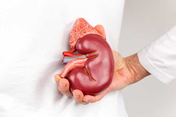 Types of Kidney Cancer