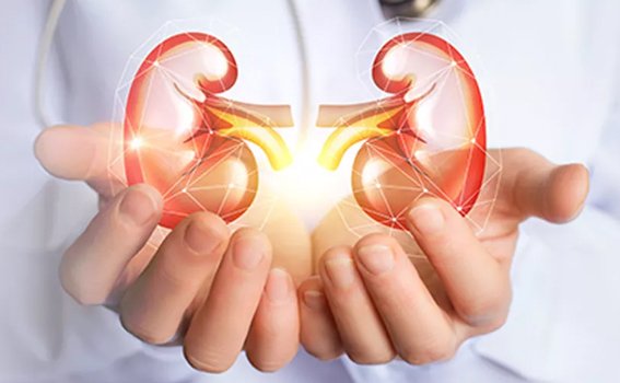 What is Kidney Transplant Surgery
