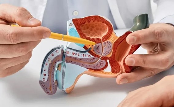 Urethral Stricture